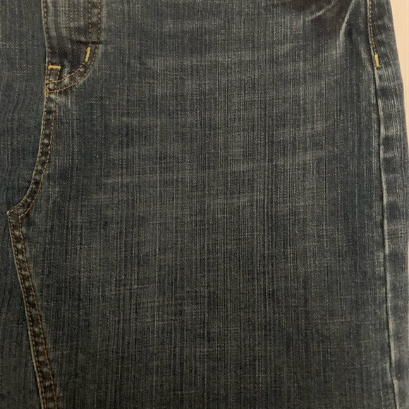 The Limited Denim Skirt - Picture 3 of 3